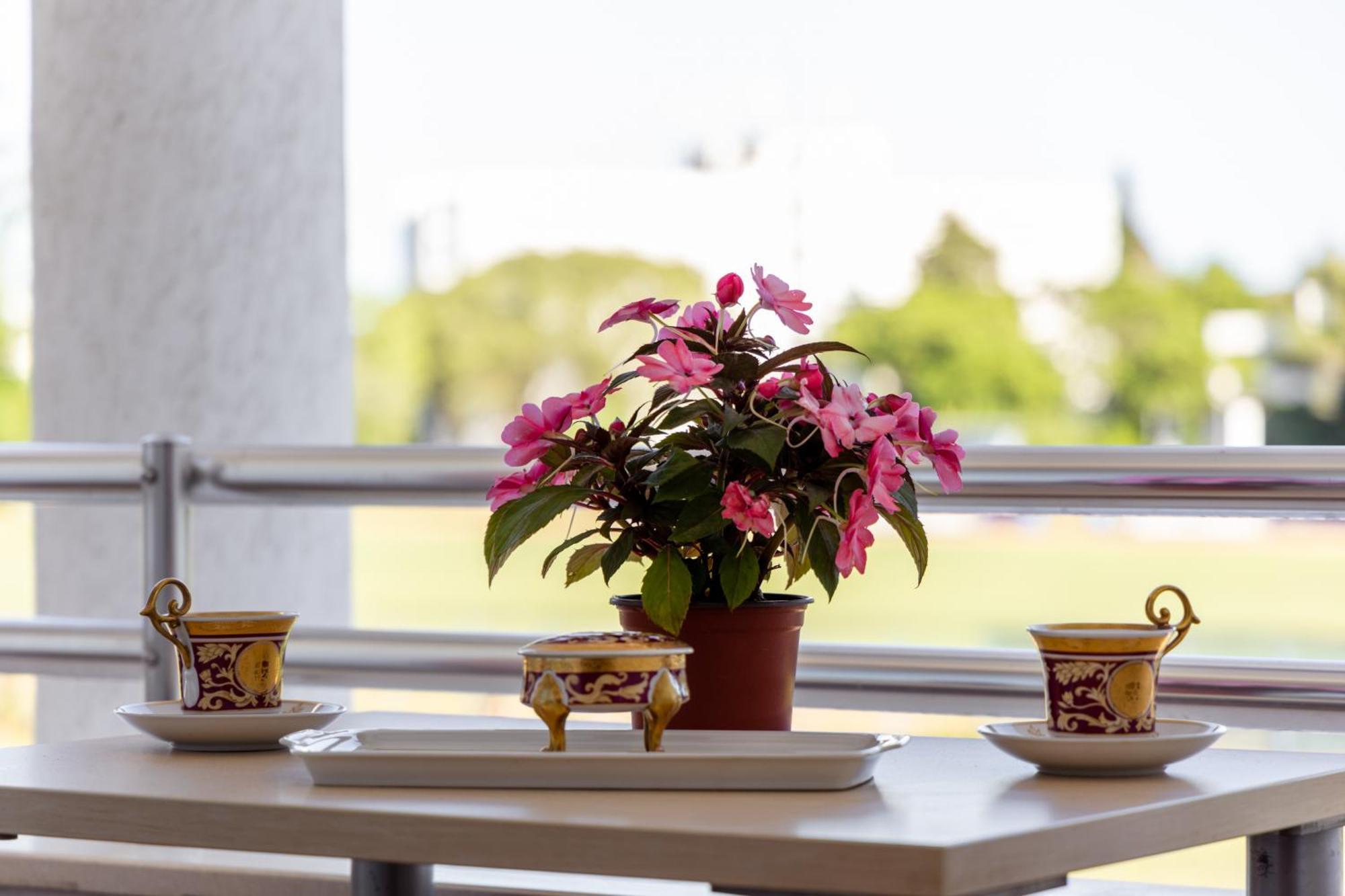 Apartments Gucci Ülgün Dış mekan fotoğraf